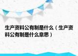生产资料公有制是什么（生产资料公有制是什么意思）