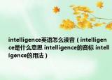 intelligence英语怎么读音（intelligence是什么意思 intelligence的音标 intelligence的用法）