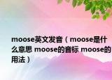 moose英文发音（moose是什么意思 moose的音标 moose的用法）