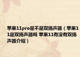 苹果11pro是不是双扬声器（苹果11是双扬声器吗 苹果11有没有双扬声器介绍）
