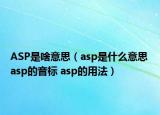 ASP是啥意思（asp是什么意思 asp的音标 asp的用法）