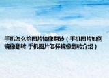 手机怎么给图片镜像翻转（手机图片如何镜像翻转 手机图片怎样镜像翻转介绍）