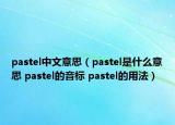 pastel中文意思（pastel是什么意思 pastel的音标 pastel的用法）