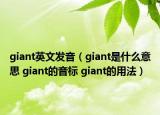 giant英文发音（giant是什么意思 giant的音标 giant的用法）