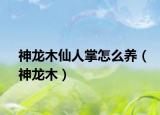 神龙木仙人掌怎么养（神龙木）