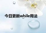 今日更新while用法