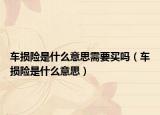车损险是什么意思需要买吗（车损险是什么意思）