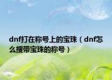 dnf打在称号上的宝珠（dnf怎么搜带宝珠的称号）