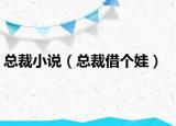 总裁小说（总裁借个娃）
