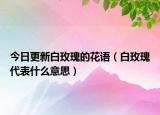 今日更新白玫瑰的花语（白玫瑰代表什么意思）