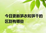 今日更新笋衣和笋干的区别有哪些