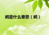鹇是什么意思（鹇）