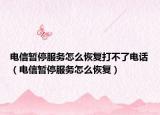 电信暂停服务怎么恢复打不了电话（电信暂停服务怎么恢复）