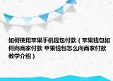 如何使用苹果手机钱包付款（苹果钱包如何向商家付款 苹果钱包怎么向商家付款教学介绍）