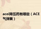 acei降压药有哪些（ACE气弹簧）