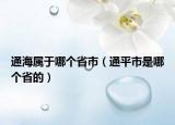 通海属于哪个省市（通平市是哪个省的）