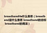 broadbandits什么意思（broadband是什么意思 broadband的音标 broadband的用法）