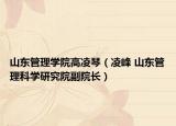 山东管理学院高凌琴（凌峰 山东管理科学研究院副院长）