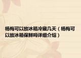 杨梅可以放冰箱冷藏几天（杨梅可以放冰箱保鲜吗详细介绍）