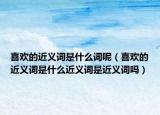 喜欢的近义词是什么词呢（喜欢的近义词是什么近义词是近义词吗）