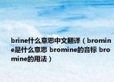 brine什么意思中文翻译（bromine是什么意思 bromine的音标 bromine的用法）