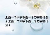 上面一个大字下面一个力字念什么（上面一个大字下面一个力字念什么）