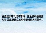 鲨鱼属于哺乳类动物吗（鲨鱼是不是哺乳动物 鲨鱼是什么类动物是哺乳类动物吗）