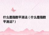 什么是指数平滑法（什么是指数平滑法?）
