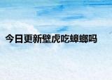 今日更新壁虎吃蟑螂吗