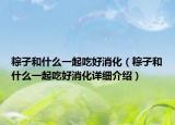 粽子和什么一起吃好消化（粽子和什么一起吃好消化详细介绍）