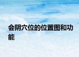 会阴穴位的位置图和功能