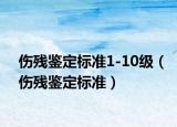 伤残鉴定标准1-10级（伤残鉴定标准）