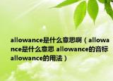 allowance是什么意思啊（allowance是什么意思 allowance的音标 allowance的用法）