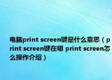 电脑print screen键是什么意思（print screen键在哪 print screen怎么操作介绍）