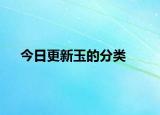 今日更新玉的分类