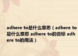 adhere to是什么意思（adhere to是什么意思 adhere to的音标 adhere to的用法）