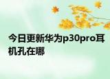 今日更新华为p30pro耳机孔在哪