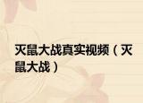 灭鼠大战真实视频（灭鼠大战）