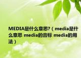 MEDIA是什么意思?（media是什么意思 media的音标 media的用法）