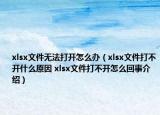 xlsx文件无法打开怎么办（xlsx文件打不开什么原因 xlsx文件打不开怎么回事介绍）