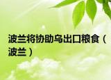 波兰将协助乌出口粮食（波兰）