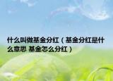 什么叫做基金分红（基金分红是什么意思 基金怎么分红）