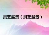 灵芝盆景（灵芝盆景）