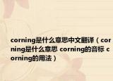corning是什么意思中文翻译（corning是什么意思 corning的音标 corning的用法）