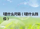 l是什么尺码（l是什么挡位）
