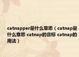 catnapper是什么意思（catnap是什么意思 catnap的音标 catnap的用法）