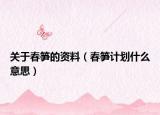 关于春笋的资料（春笋计划什么意思）