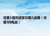 突袭3:胜利进军在哪儿能看（突袭3闪电战）