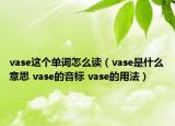 vase这个单词怎么读（vase是什么意思 vase的音标 vase的用法）