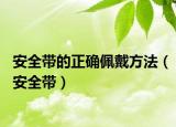 安全带的正确佩戴方法（安全带）